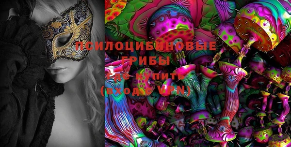 винт Армянск